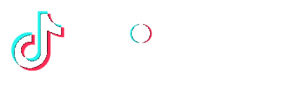 TikTok Marketing Partner